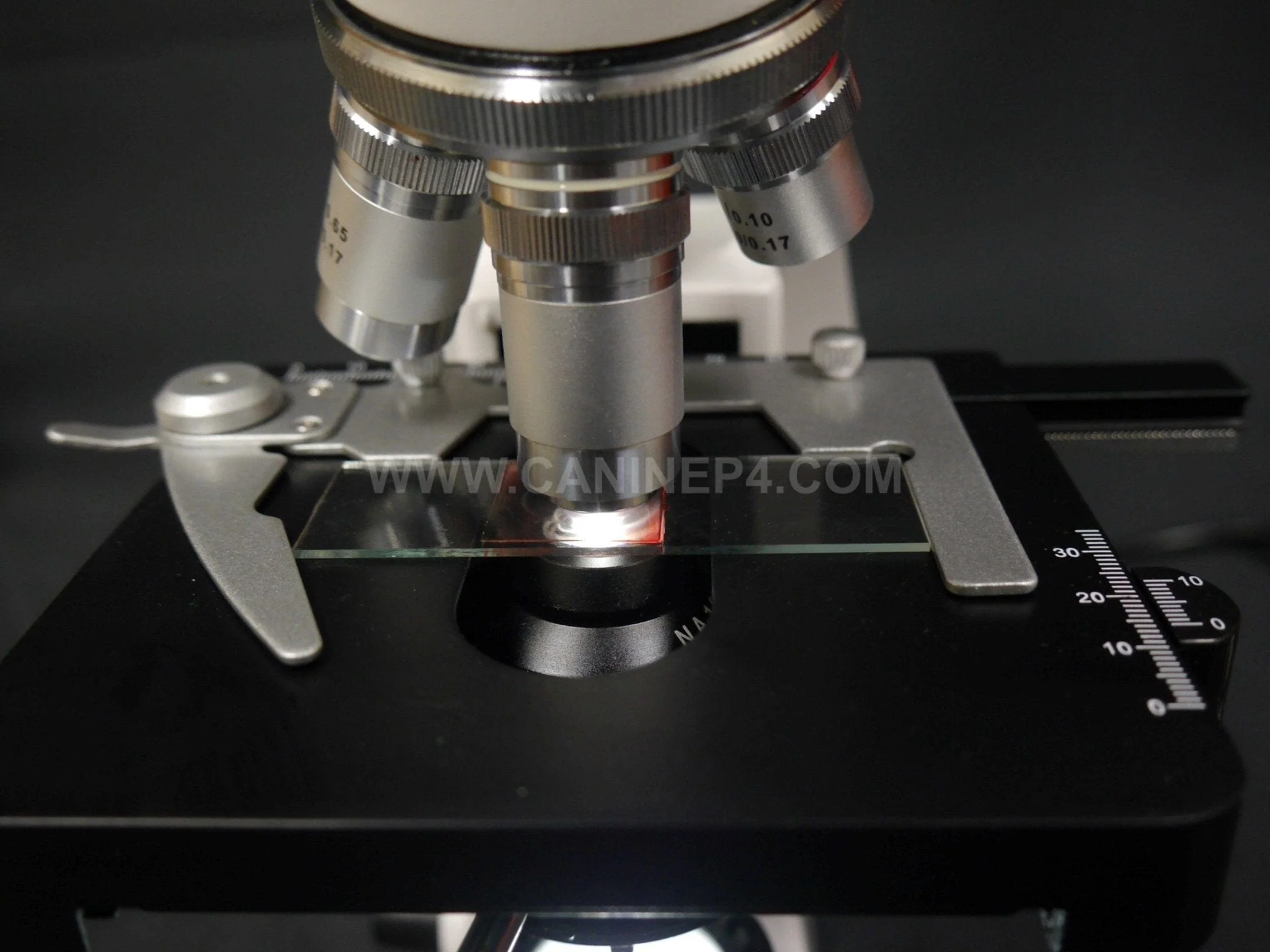 Vet Grade Canine Semen Analysis Microscope Kit 2500X - Image 10
