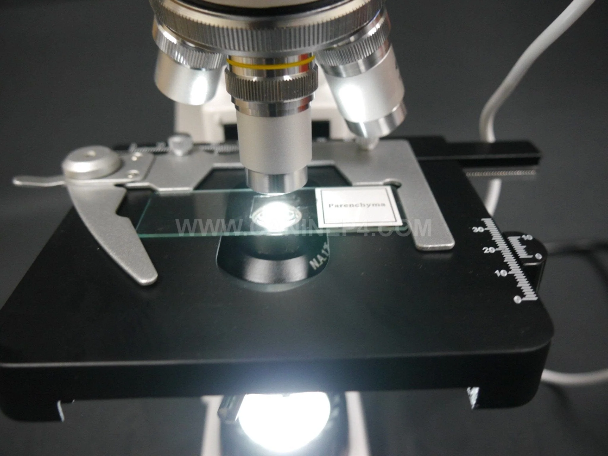 Vet Grade Canine Semen Analysis Microscope Kit 2500X - Image 13