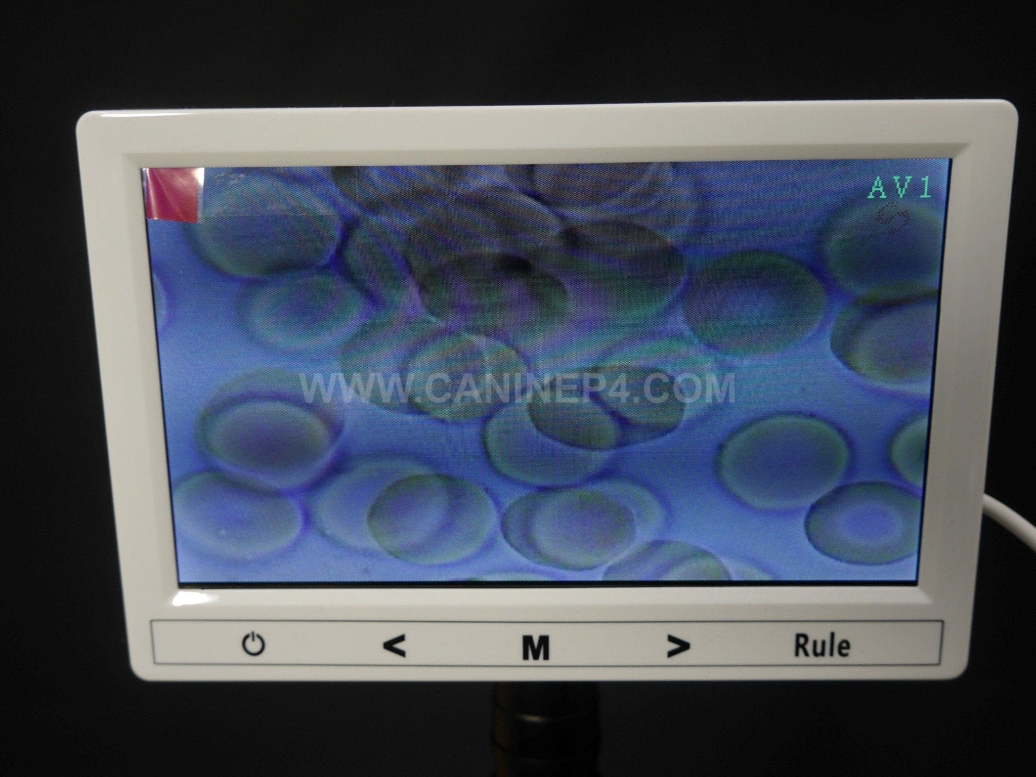 Vet Grade Canine Semen Analysis Microscope Kit 2500X - Image 3