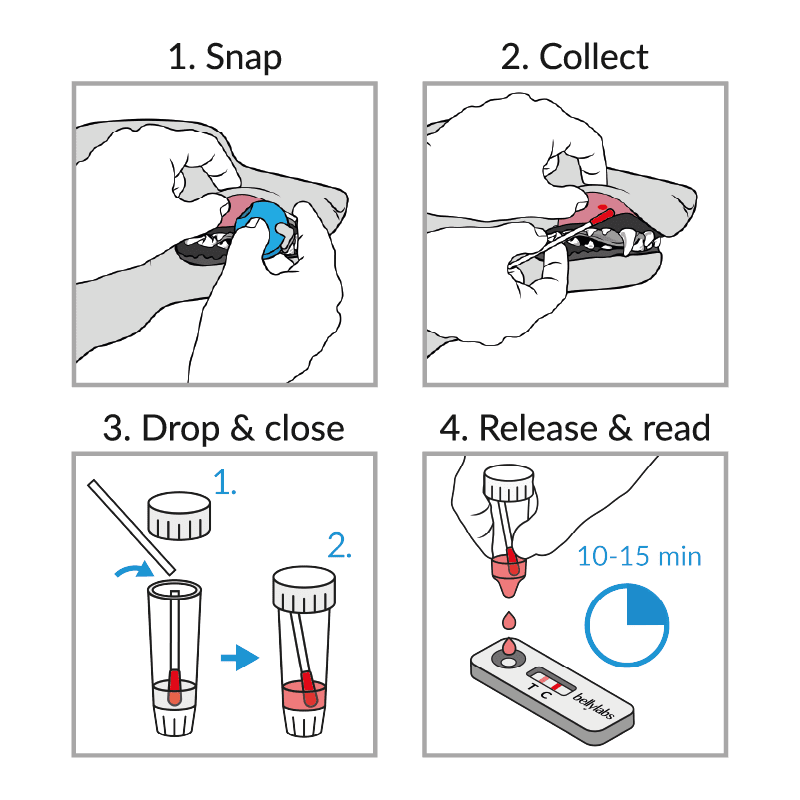 Belly labs Dog Pregnancy Test - Image 5
