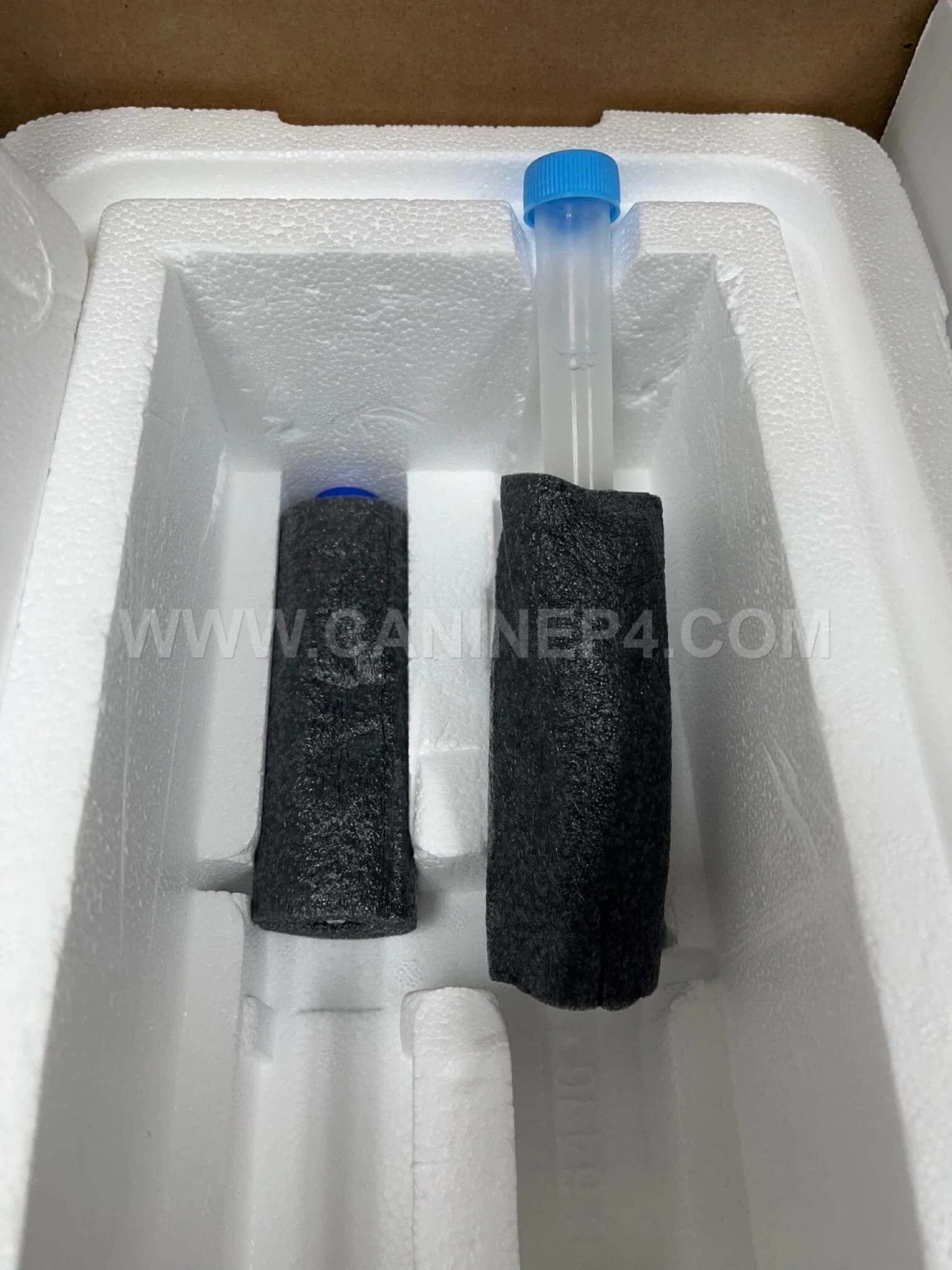Canine Express Sperm Insulated Transport Shipper - Image 5