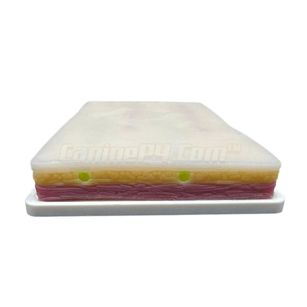 Phlebotomy and Venipuncture Practice Kit - Image 2
