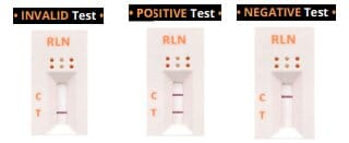 Pregnancy Test for dogs - Image 5