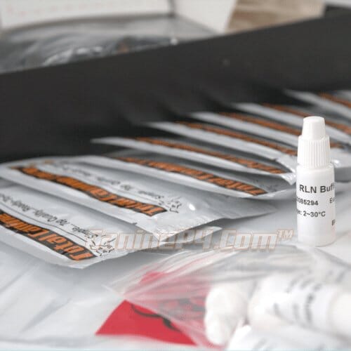 Pregnancy Test for dogs - Image 7