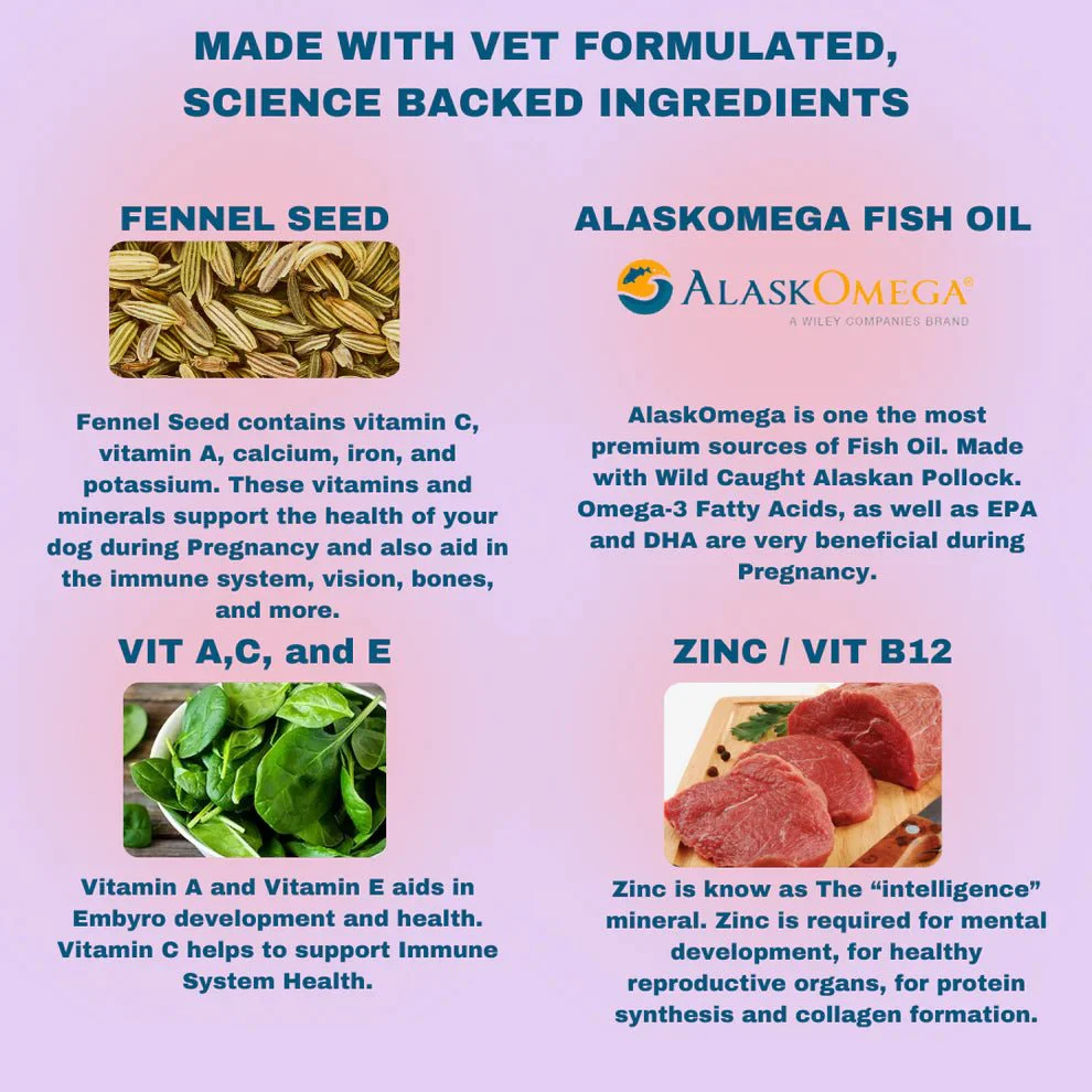 Pregnancy Pro Prenatal Vitamin For Dogs (90 ct) - Image 7