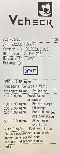 Vcheck V2400 Bionote - Image 18
